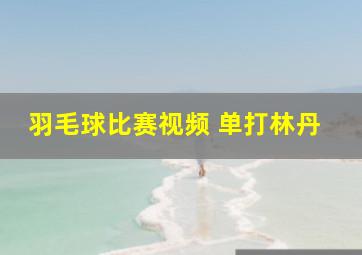 羽毛球比赛视频 单打林丹